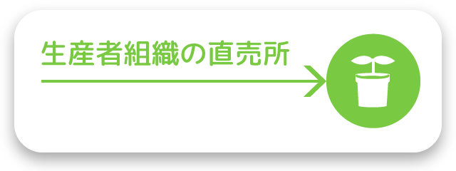 生産者組織の直売所