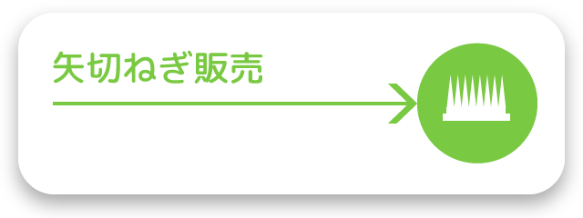 矢切ねぎ販売